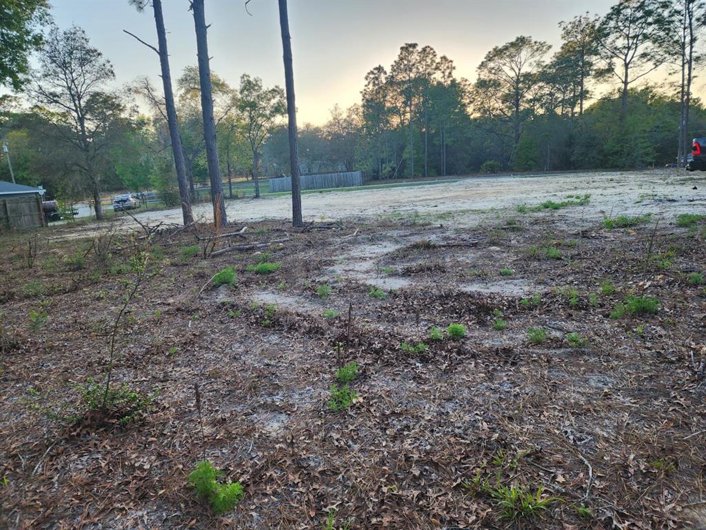 Southwest 110th Court Dunnellon, FL 34432 - Photo 6 of 9