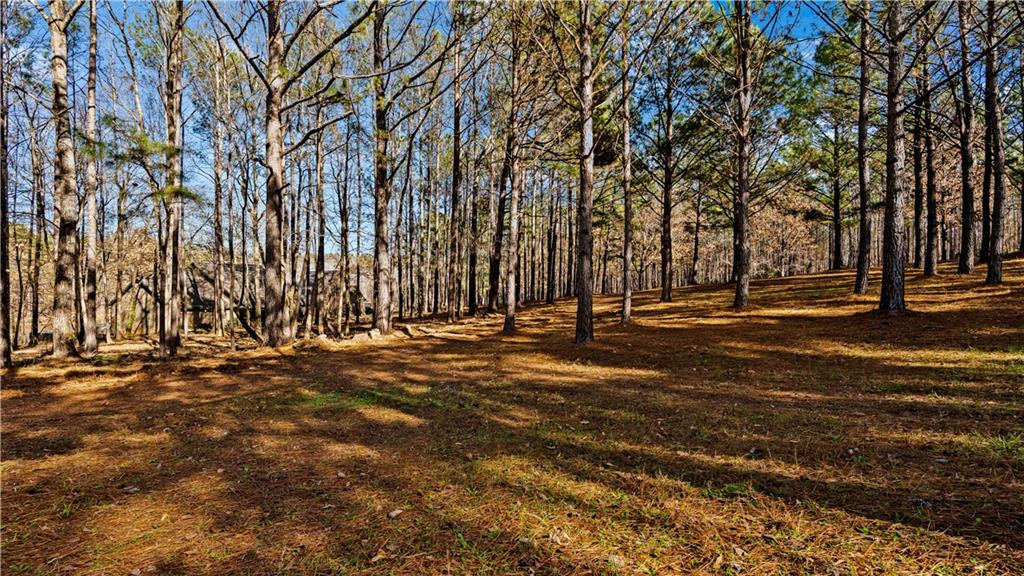 877 McKee Road Waverly Hall, GA 31831 - Photo 14 of 70