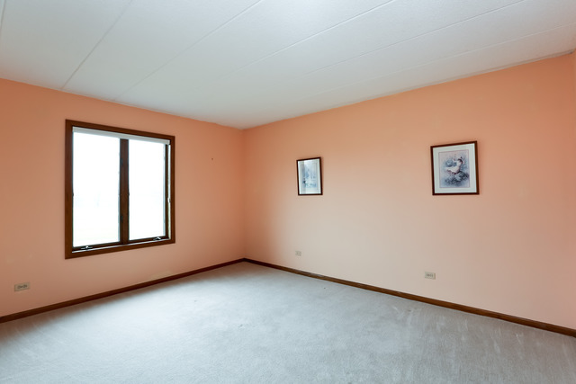 180 West Richton Road, Unit 102 Crete, IL 60417 - Photo 7 of 10