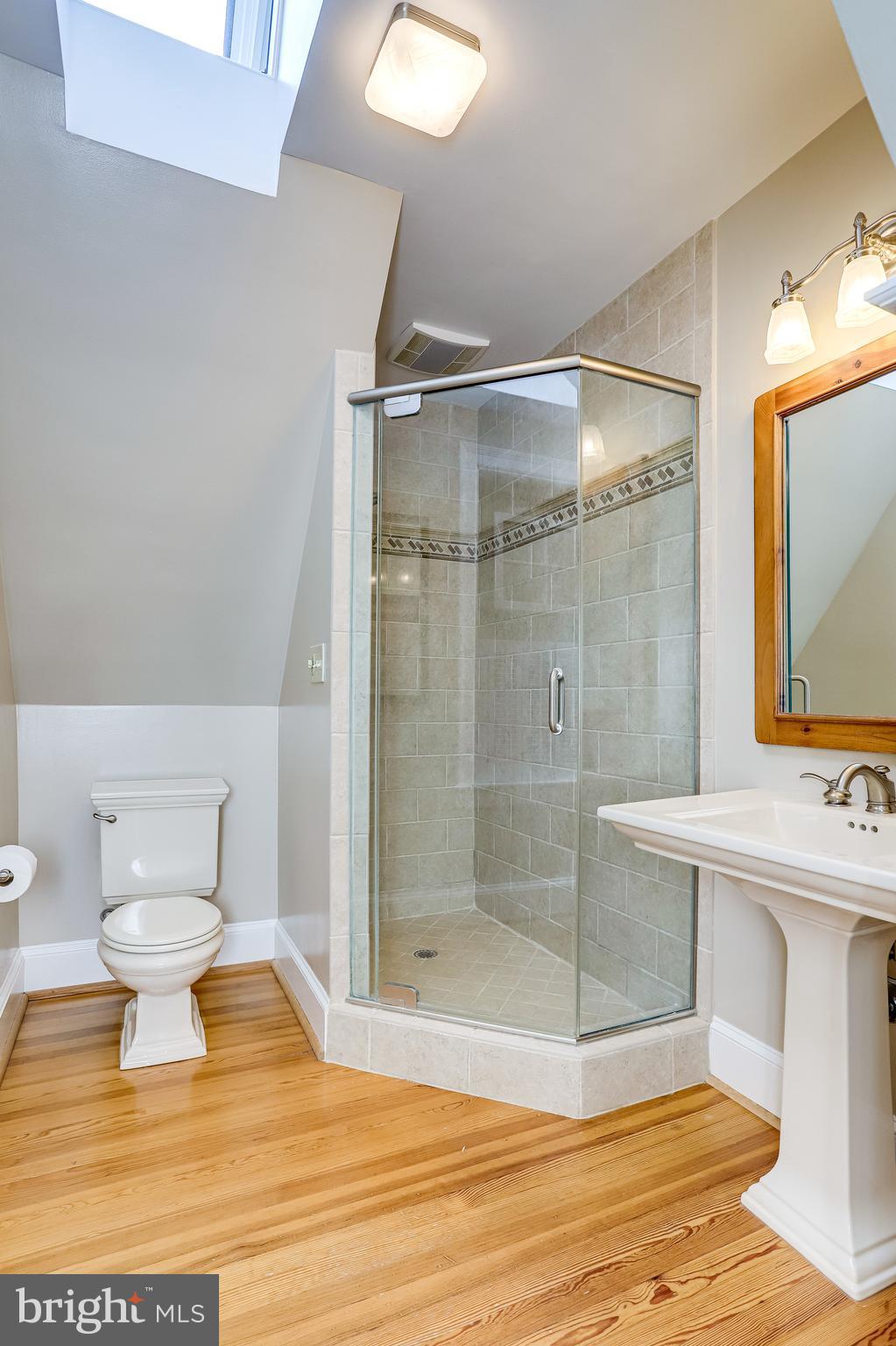 4924 Little Falls Road Arlington, VA 22207 - Photo 34 of 55 Skylight Primary Bathroom