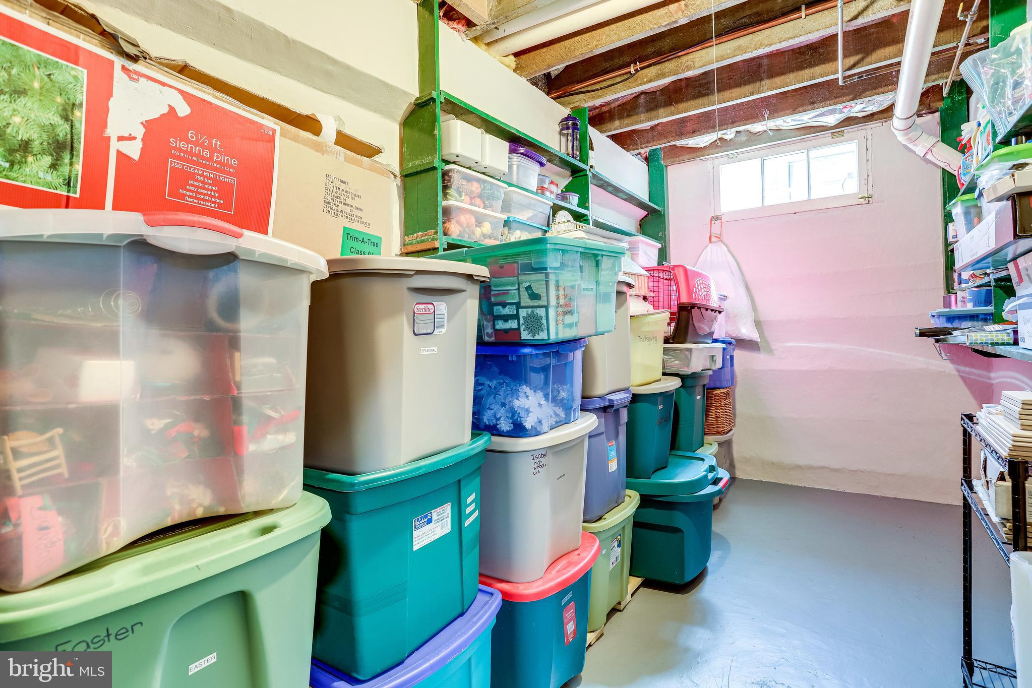 4924 Little Falls Road Arlington, VA 22207 - Photo 49 of 55 Yep...Even More Meticulously Organized Storage