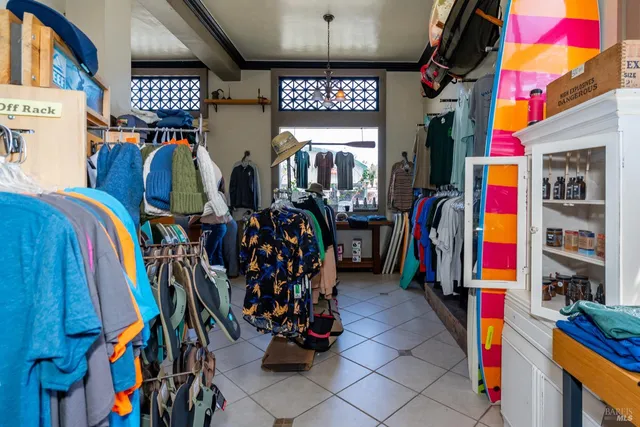 a living room filled with furniture and a potted plant