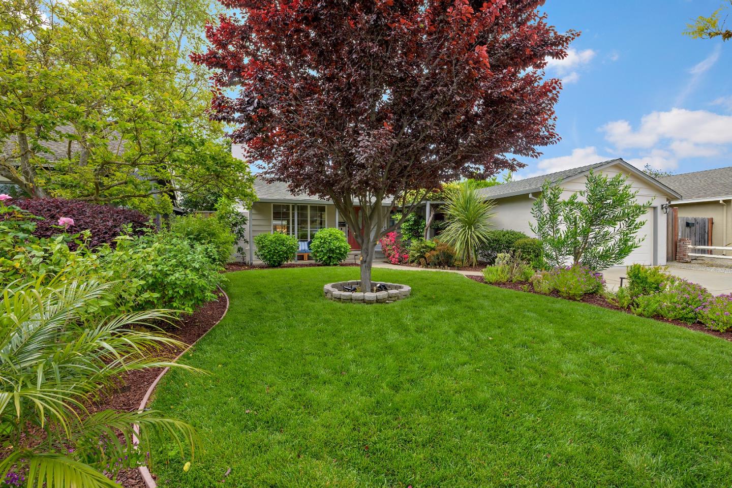 a view of a backyard with plants and large trees