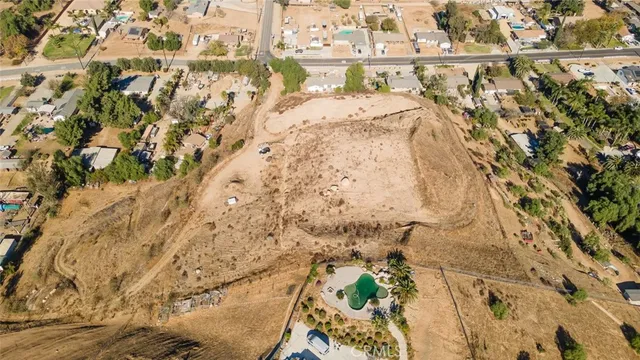a close up of a palm tree sitting in a park