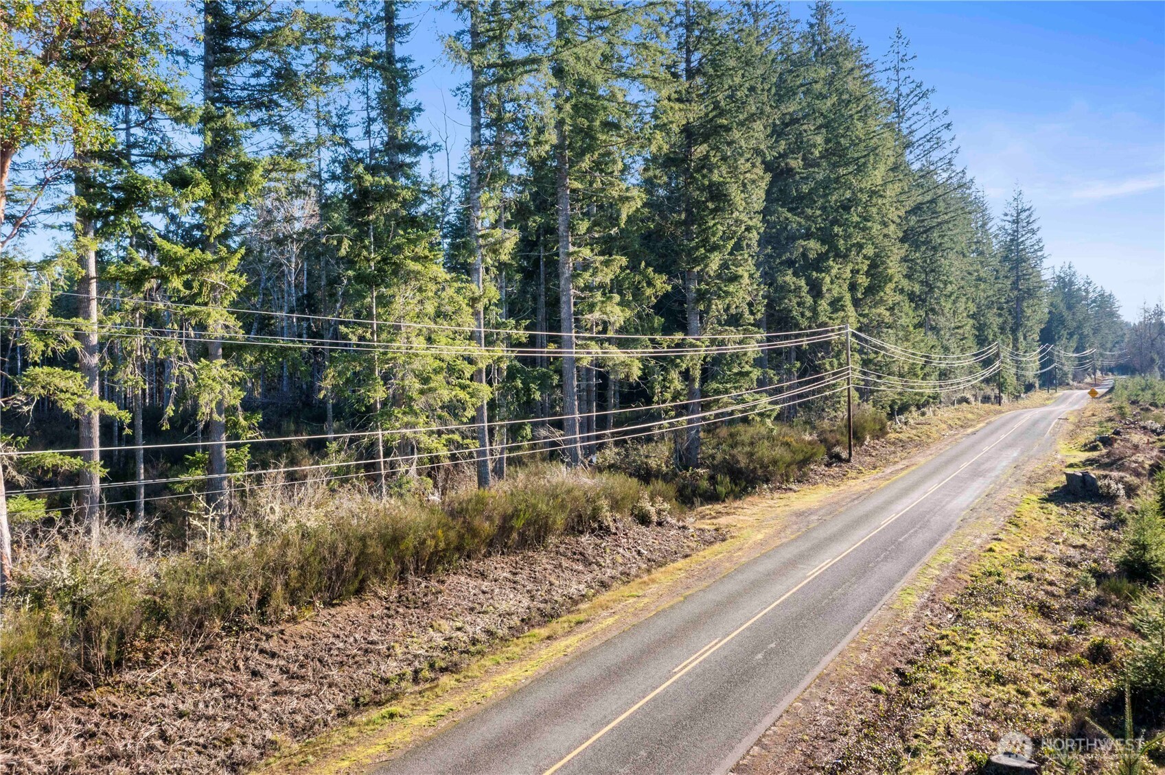 0 East Harstine Island Road South Shelton, WA 98584 - Photo 12 of 20 a view of a wooden bridge with plants and large trees