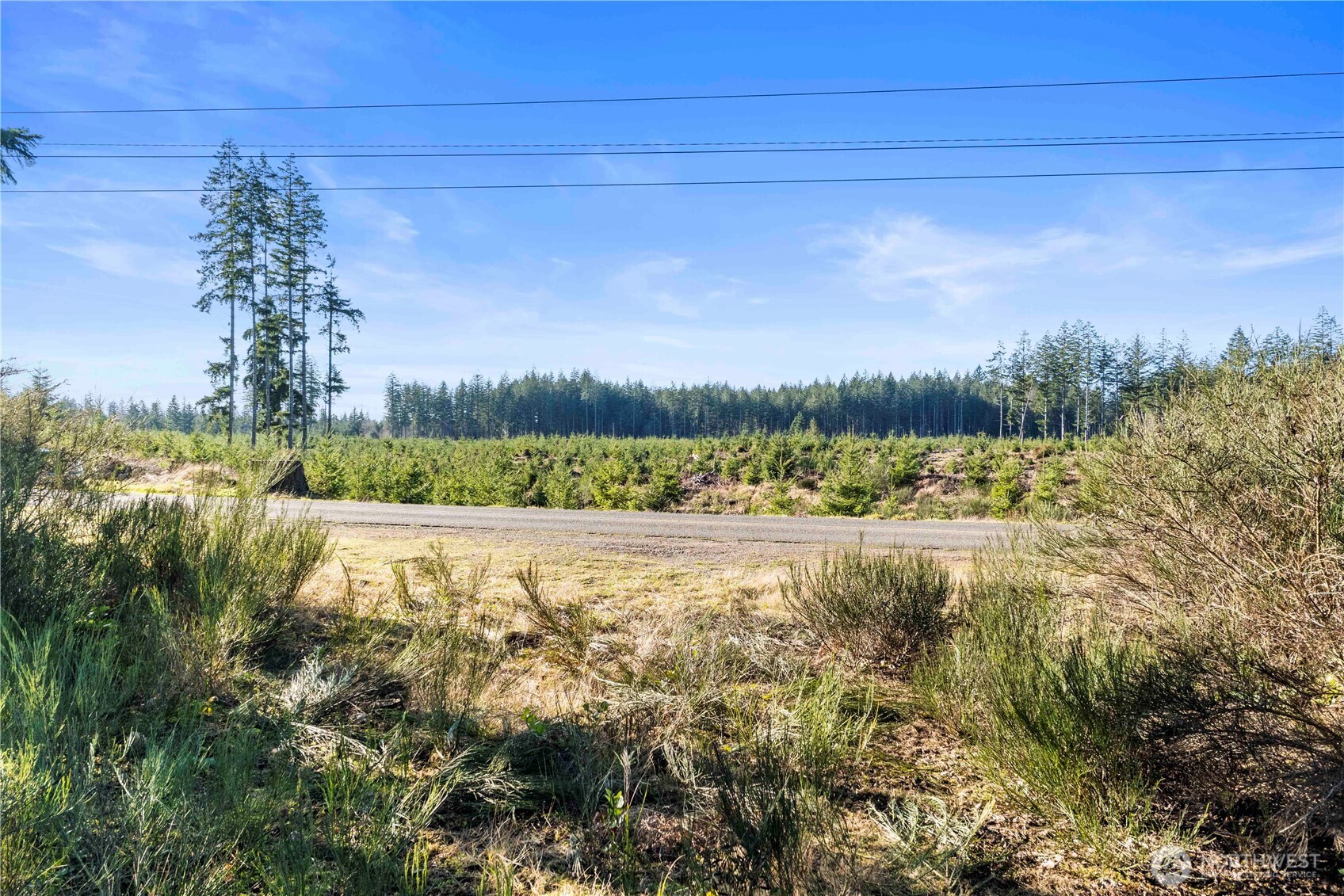 0 East Harstine Island Road South Shelton, WA 98584 - Photo 13 of 20 a view of an outdoor space and a lake view