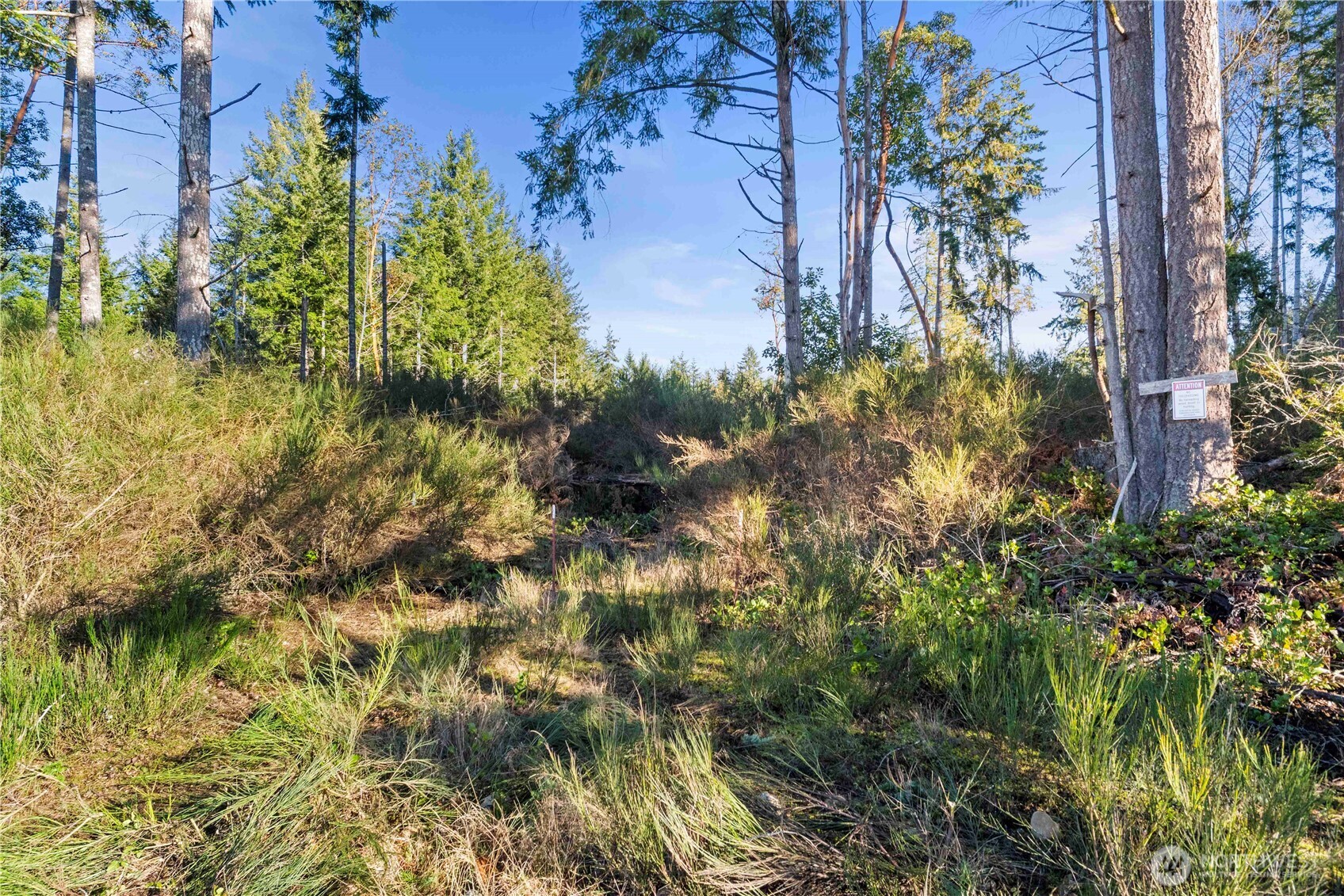 0 East Harstine Island Road South Shelton, WA 98584 - Photo 3 of 20 a view of a garden