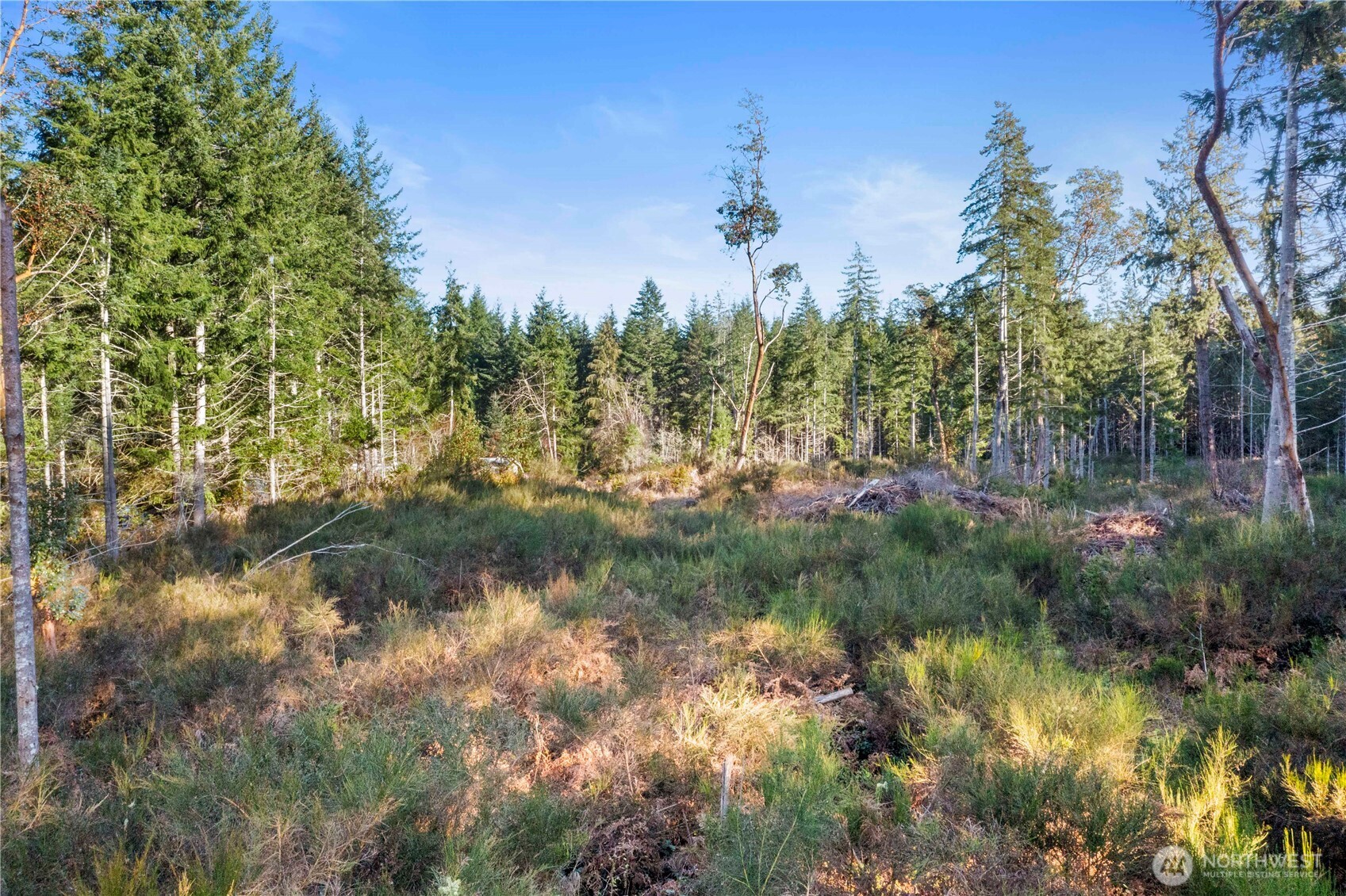 0 East Harstine Island Road South Shelton, WA 98584 - Photo 6 of 20 a view of a lake with houses in back