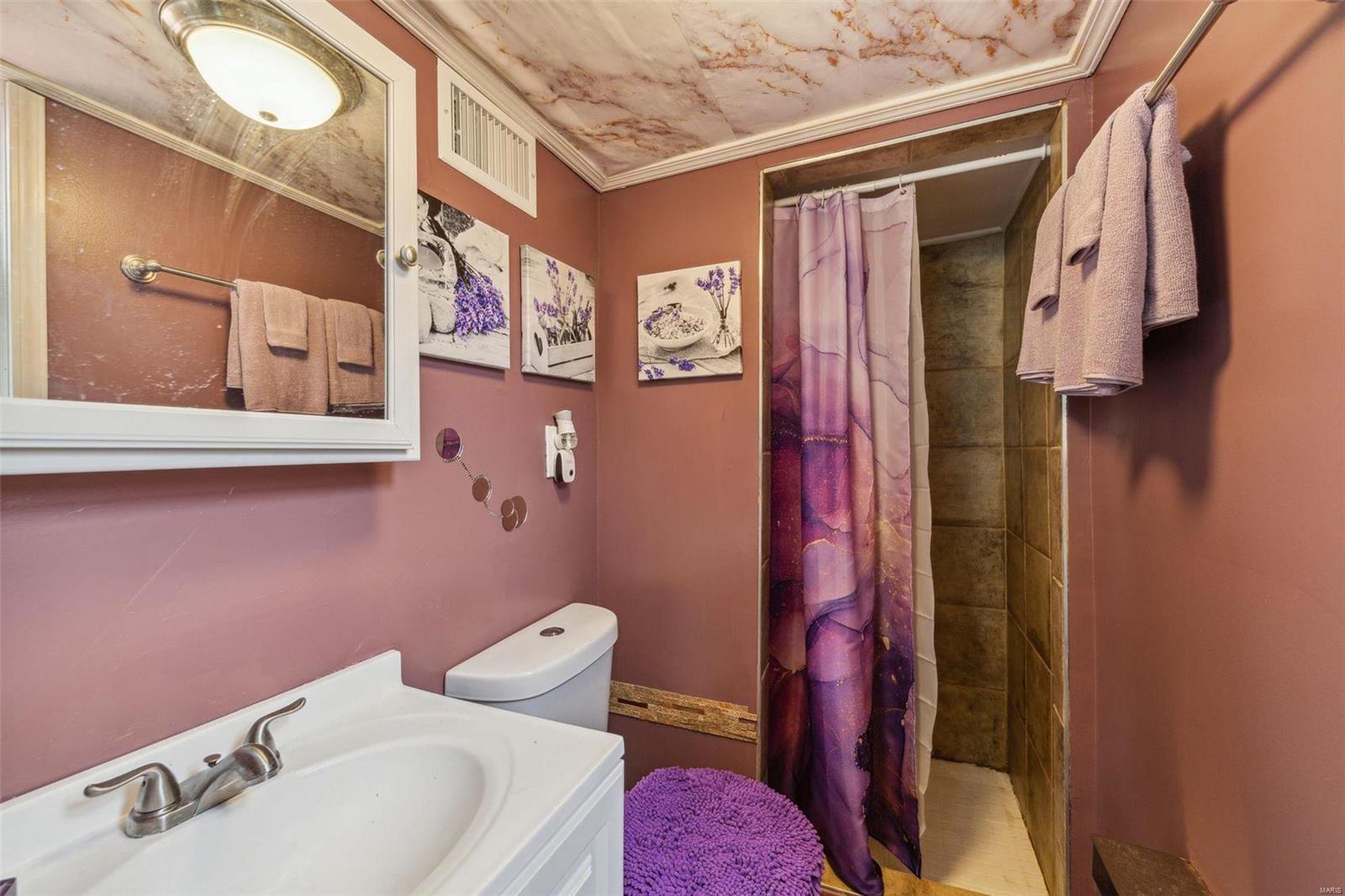 11736 Bellefontaine Road St. Louis, MO 63138 - Photo 15 of 19