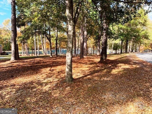 Lot 36 Hickory Lake Road Dublin, GA 31021 - Photo 1 of 1 Main View