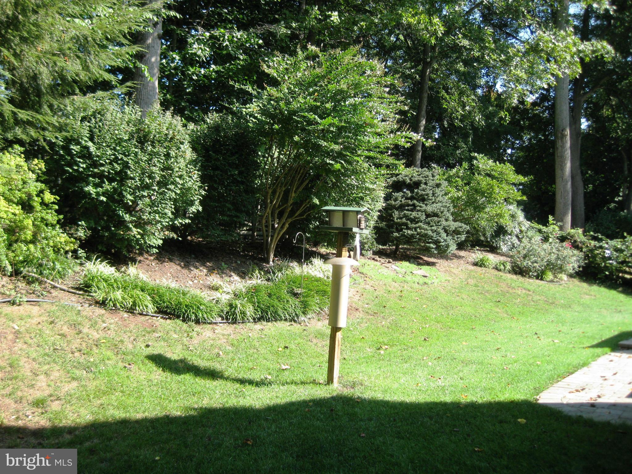 809 Potomac Ridge Court Sterling, VA 20164 - Photo 30 of 30 Lovely Rear Lawn