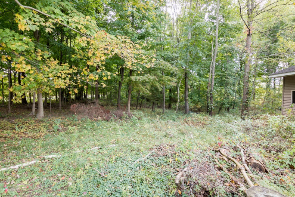 45379 County Road 352 Decatur, MI 49045 - Photo 55 of 55 45379CR352-77