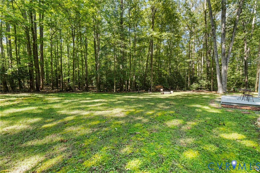 4525 Powhatan Lakes Road Powhatan, VA 23139 - Photo 20 of 23 Gallery Image 20