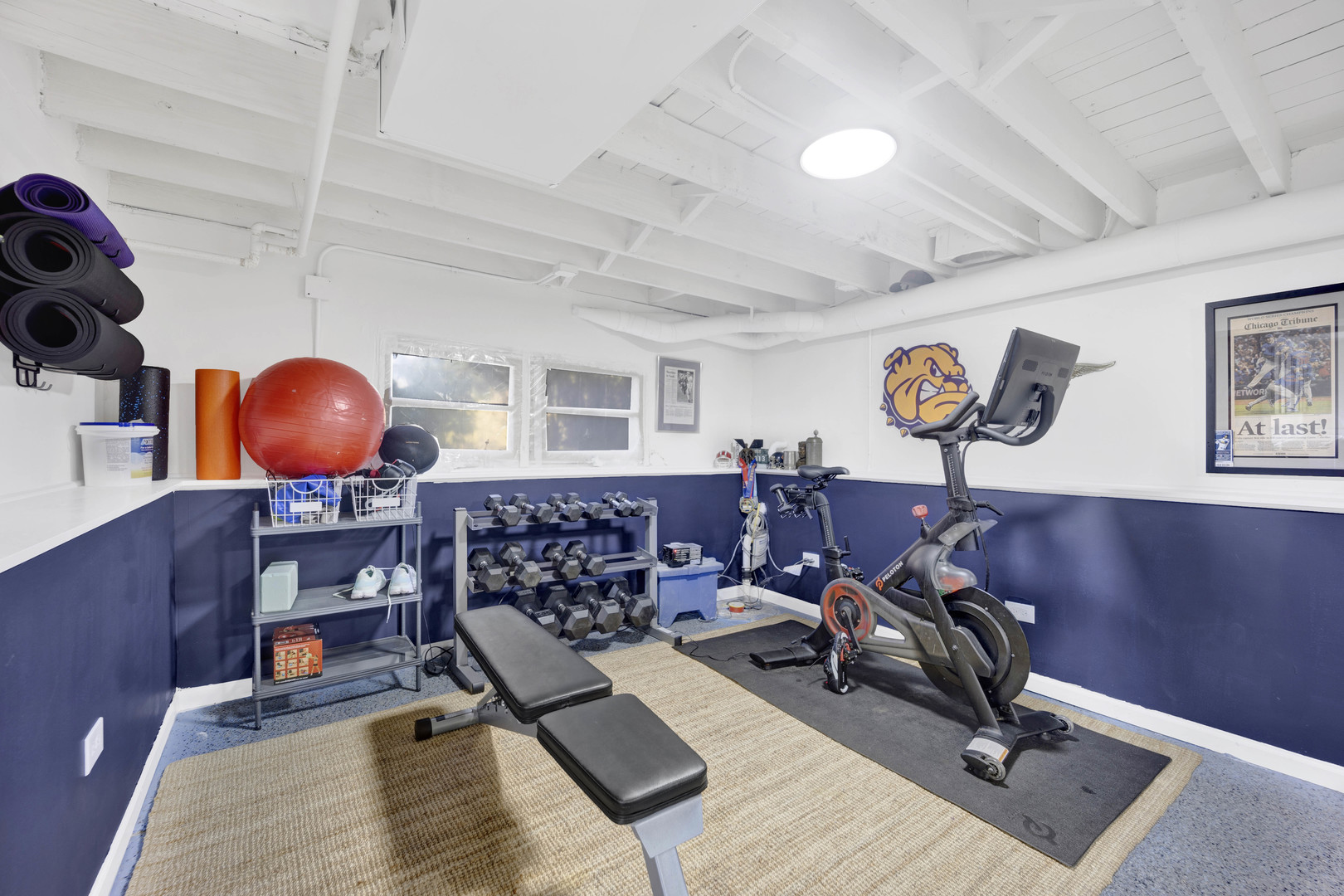 261 Herrick Road Riverside, IL 60546 - Photo 23 of 32 a room with gym equipment