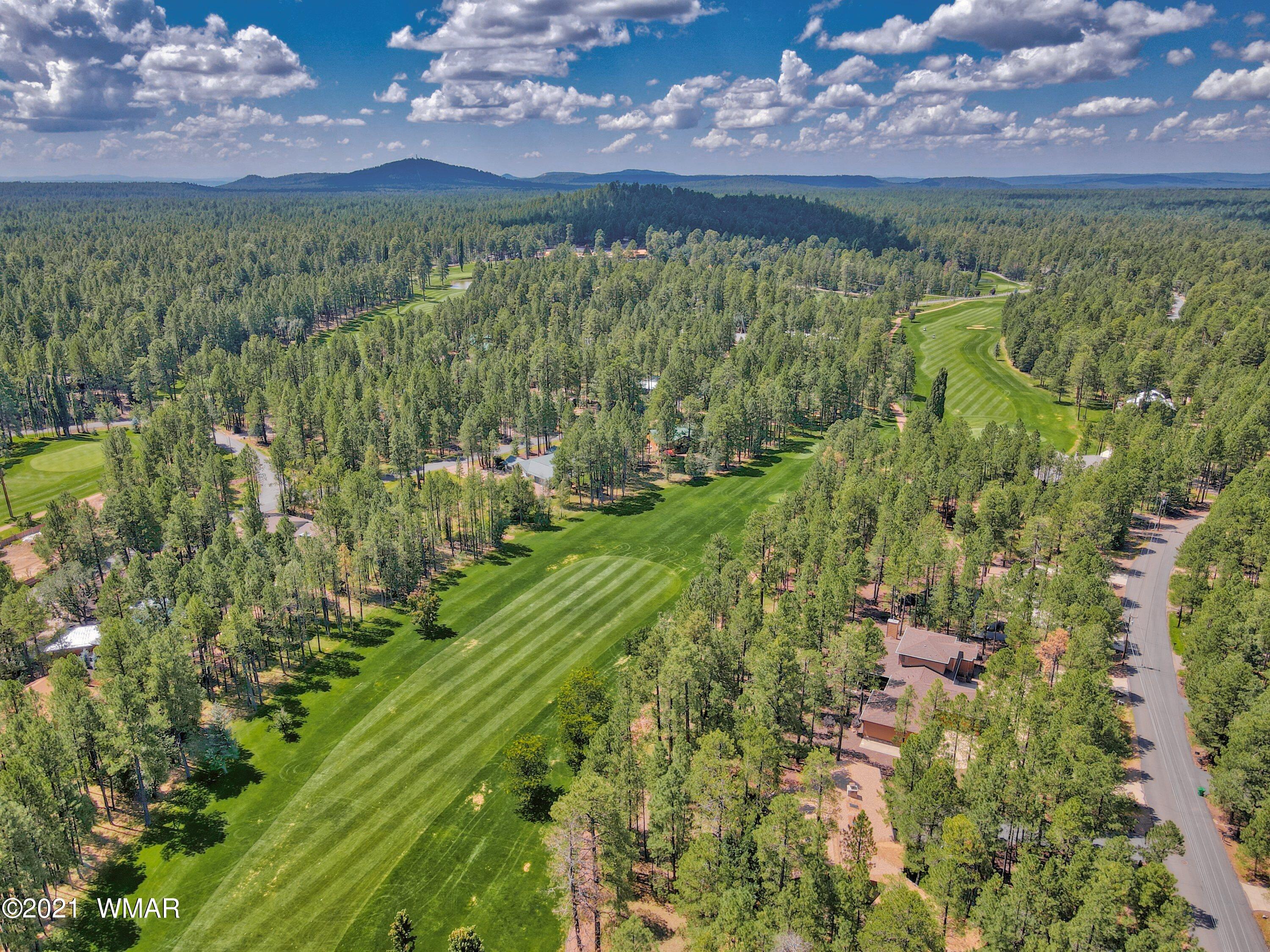 7223 Buck Springs Road Pinetop, AZ 85935 - Photo 4 of 34 Gallery Image 4