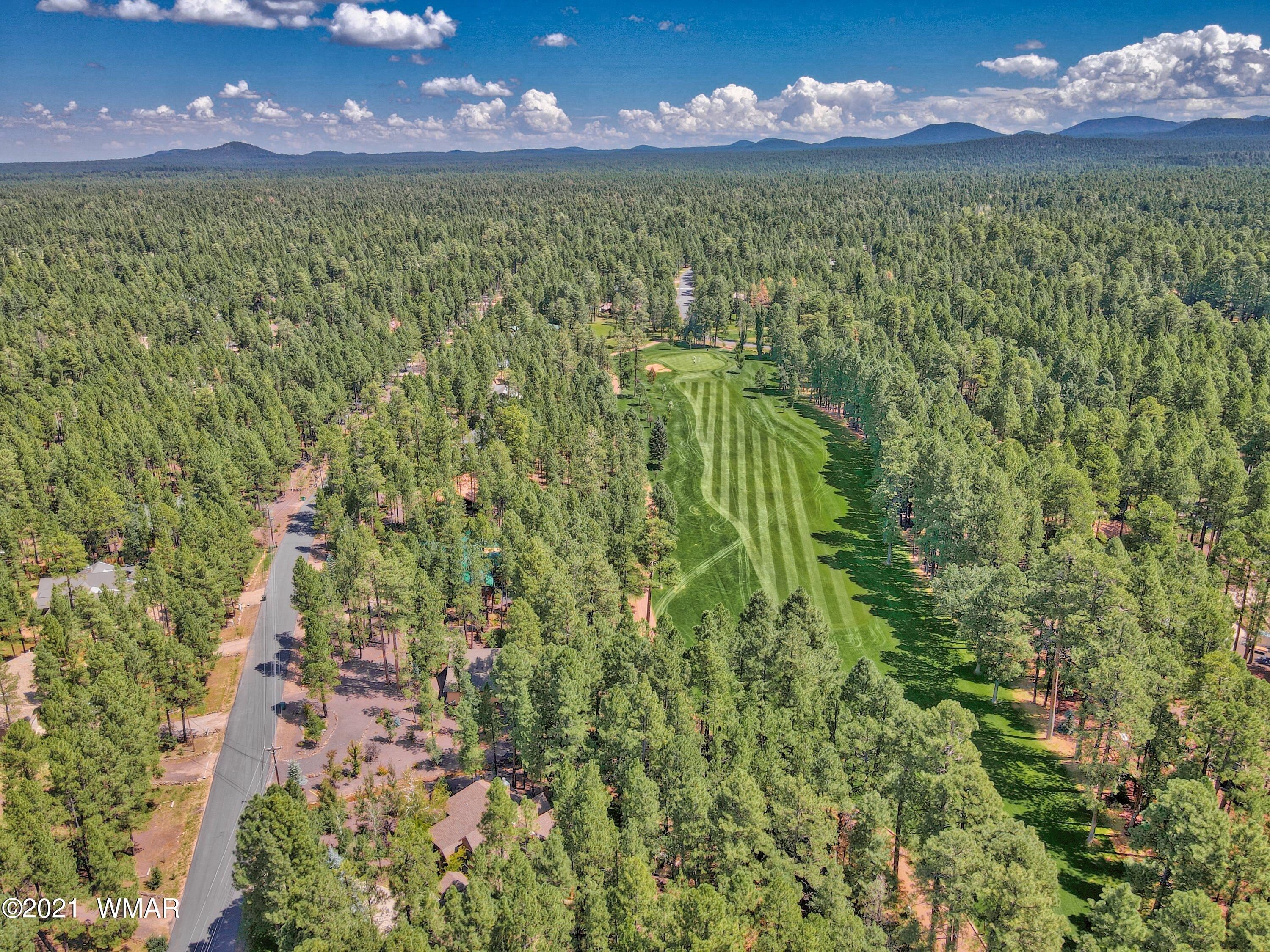 7223 Buck Springs Road Pinetop, AZ 85935 - Photo 5 of 34 Gallery Image 5