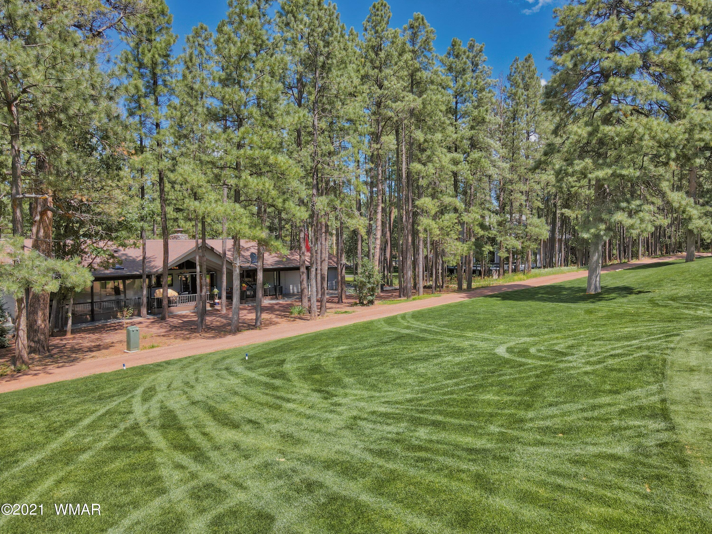 7223 Buck Springs Road Pinetop, AZ 85935 - Photo 7 of 34 Gallery Image 7