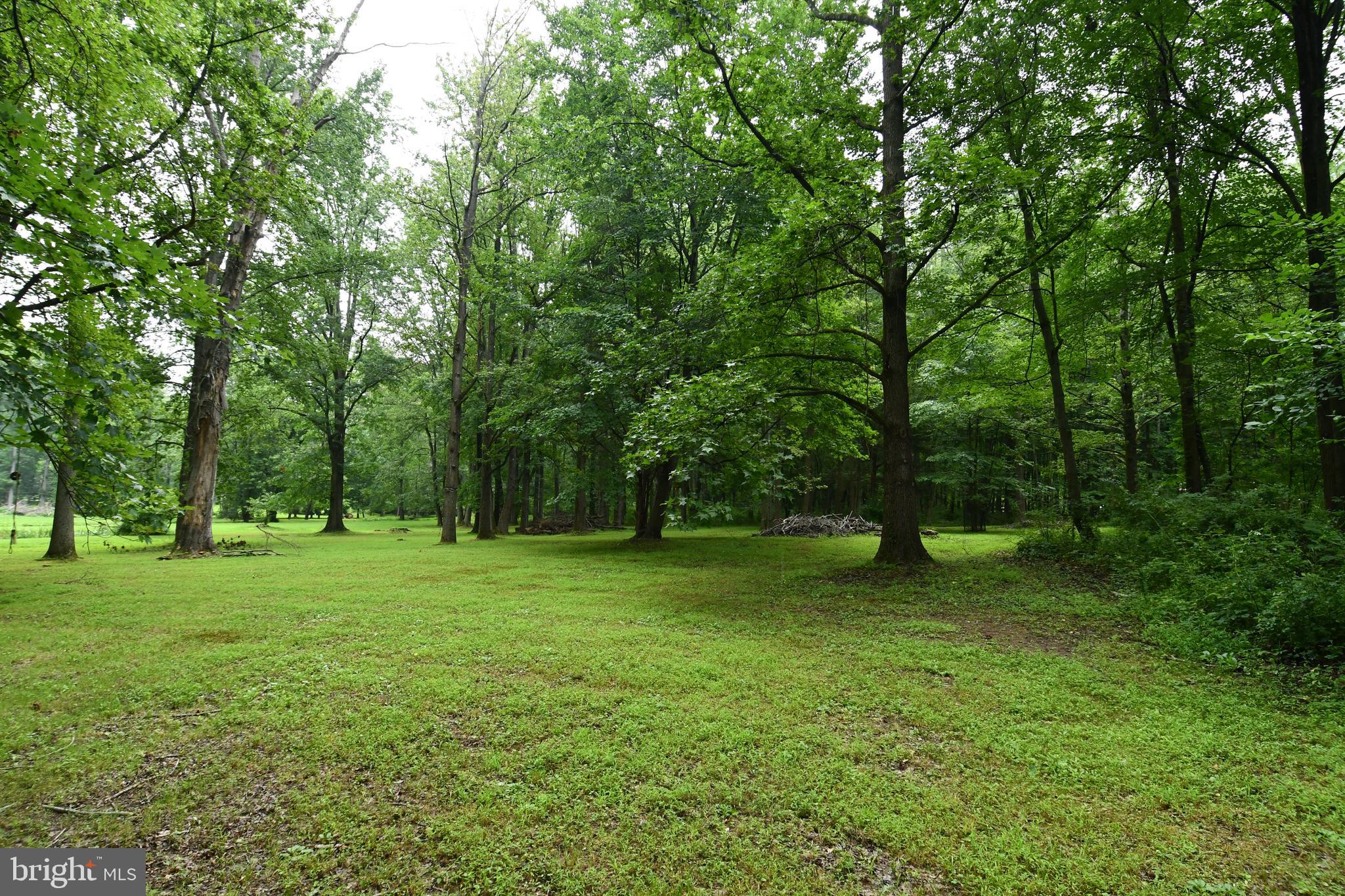 21 O'Rourke Drive Hamilton, NJ 08691 - Photo 7 of 14