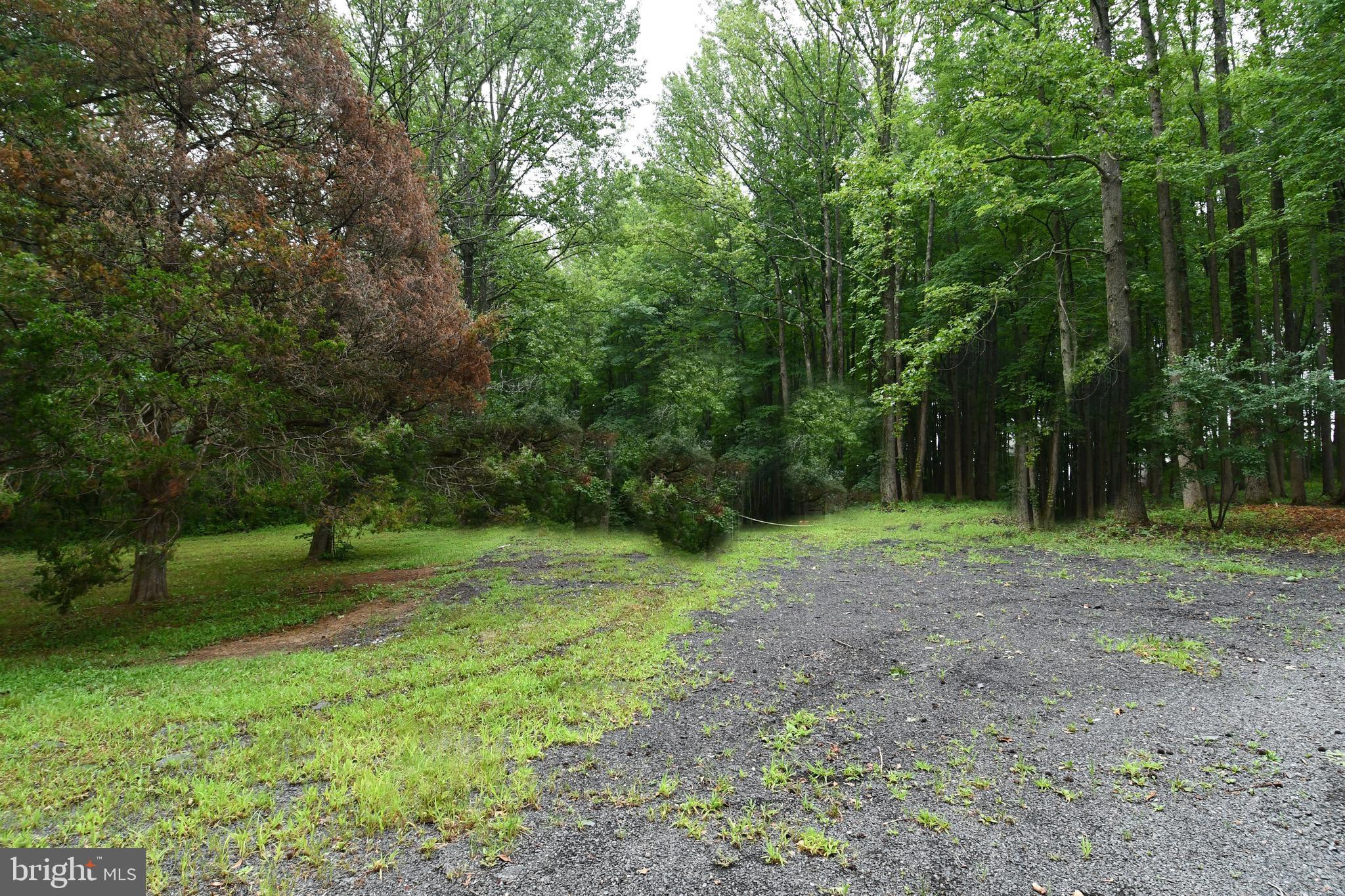 21 O'Rourke Drive Hamilton, NJ 08691 - Photo 9 of 14