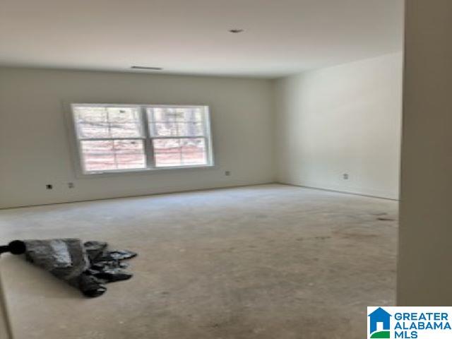 360 Black Acres Road Cropwell, AL 35054 - Photo 18 of 21