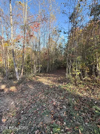 $325,000 | 444 Roses Creek Road, Clairfield, TN 37715