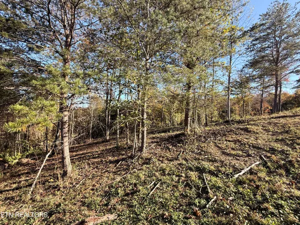 $325,000 | 444 Roses Creek Road, Clairfield, TN 37715