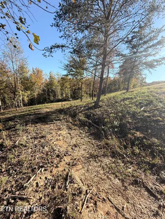 $325,000 | 444 Roses Creek Road, Clairfield, TN 37715