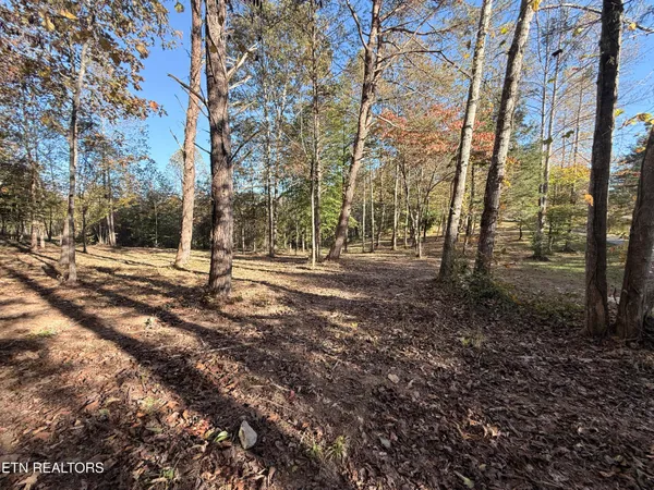 $325,000 | 444 Roses Creek Road, Clairfield, TN 37715