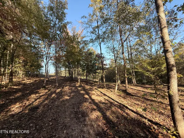 $325,000 | 444 Roses Creek Road, Clairfield, TN 37715