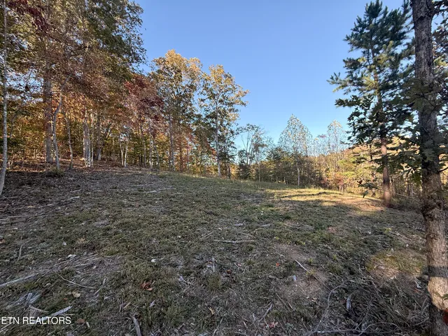 $325,000 | 444 Roses Creek Road, Clairfield, TN 37715