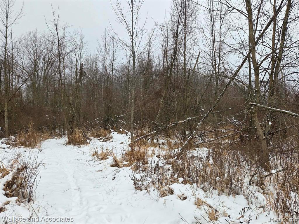 0 Hadley Road Decker, MI 48426 - Photo 4 of 18