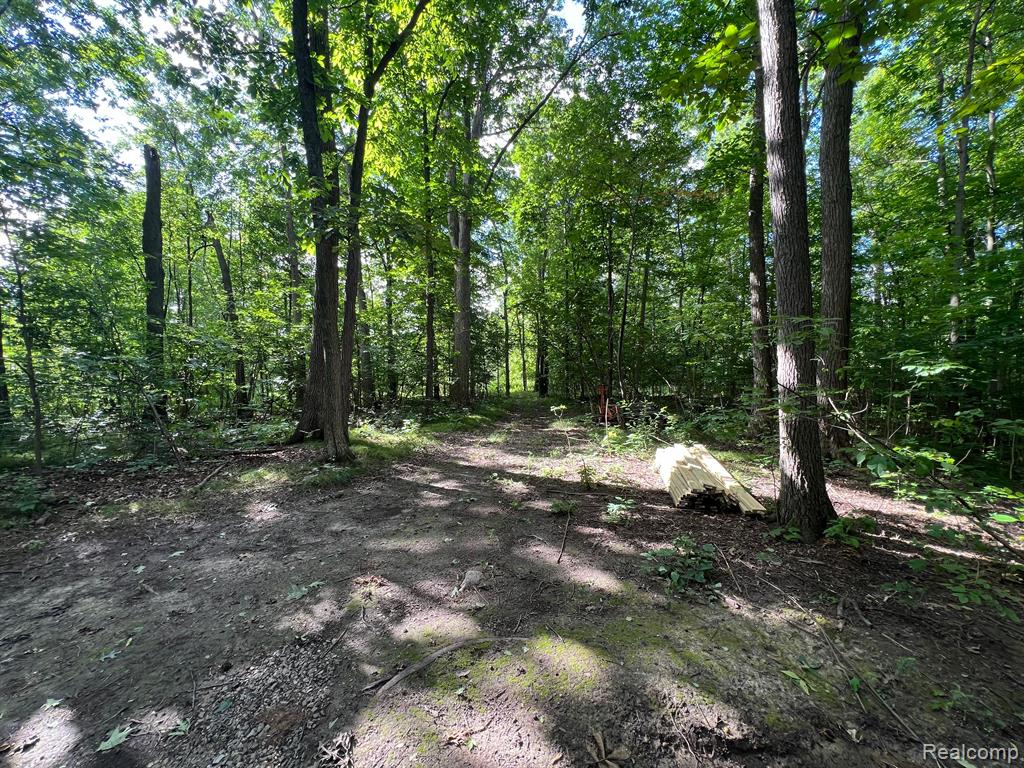 0 North Hadley Road Ortonville, MI 48462 - Photo 5 of 13