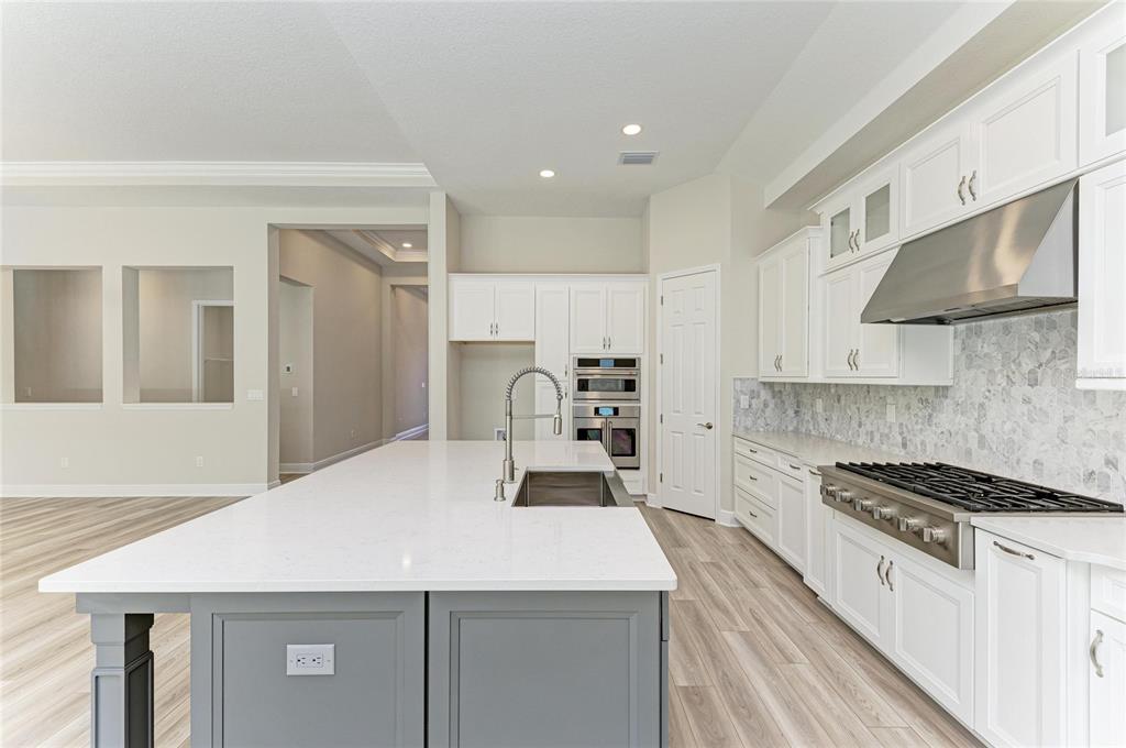 15014 Rider Pass Drive Lithia, FL 33547 - Photo 13 of 39