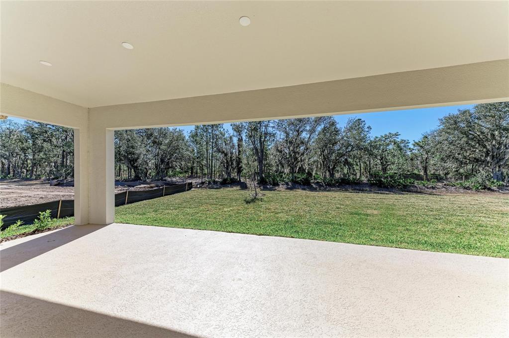 15014 Rider Pass Drive Lithia, FL 33547 - Photo 38 of 39