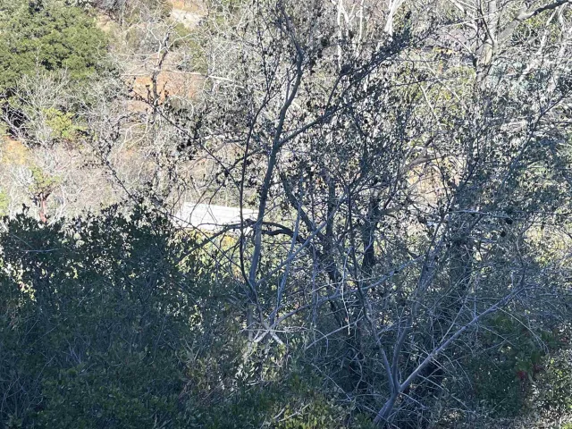 $75,000 | 0 Banner View Drive, Julian, CA 92036