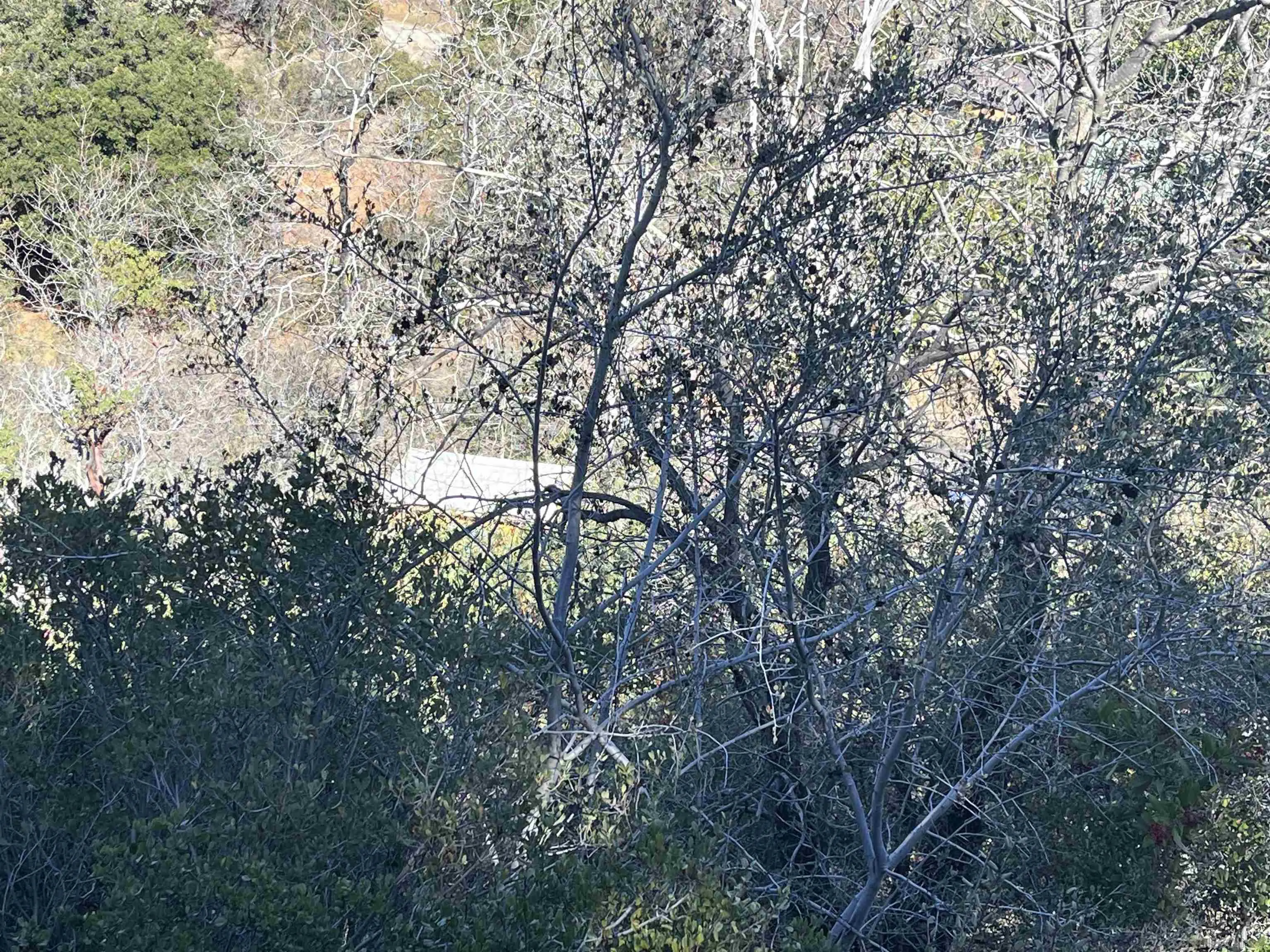 0 Banner View Drive Julian, CA 92036 - Photo 3 of 12