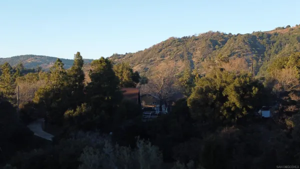 a view of a yard with a tree