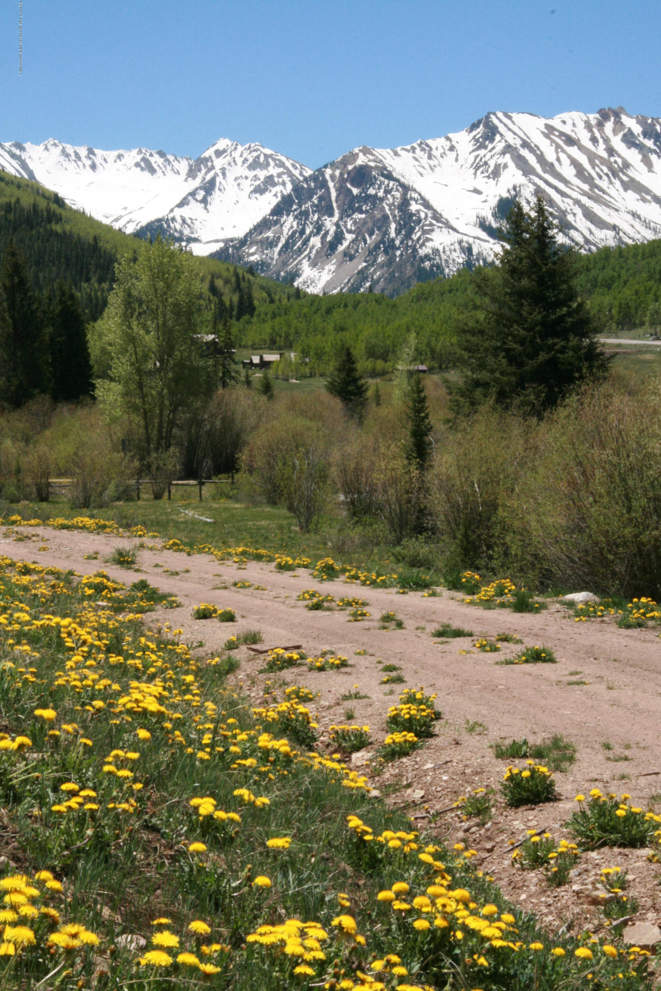 250 Express Creek Road Aspen, CO 81612 - Photo 18 of 40 Driveway