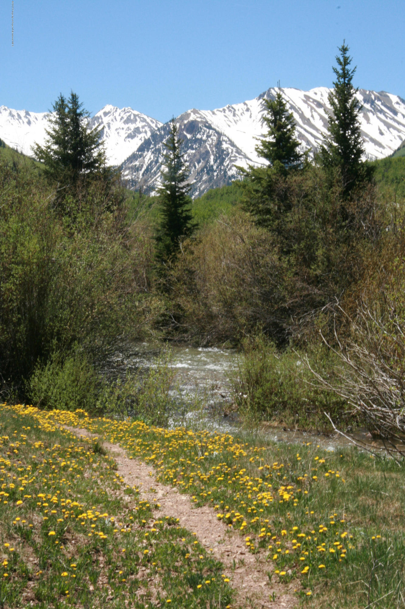 250 Express Creek Road Aspen, CO 81612 - Photo 19 of 40 Fishing path