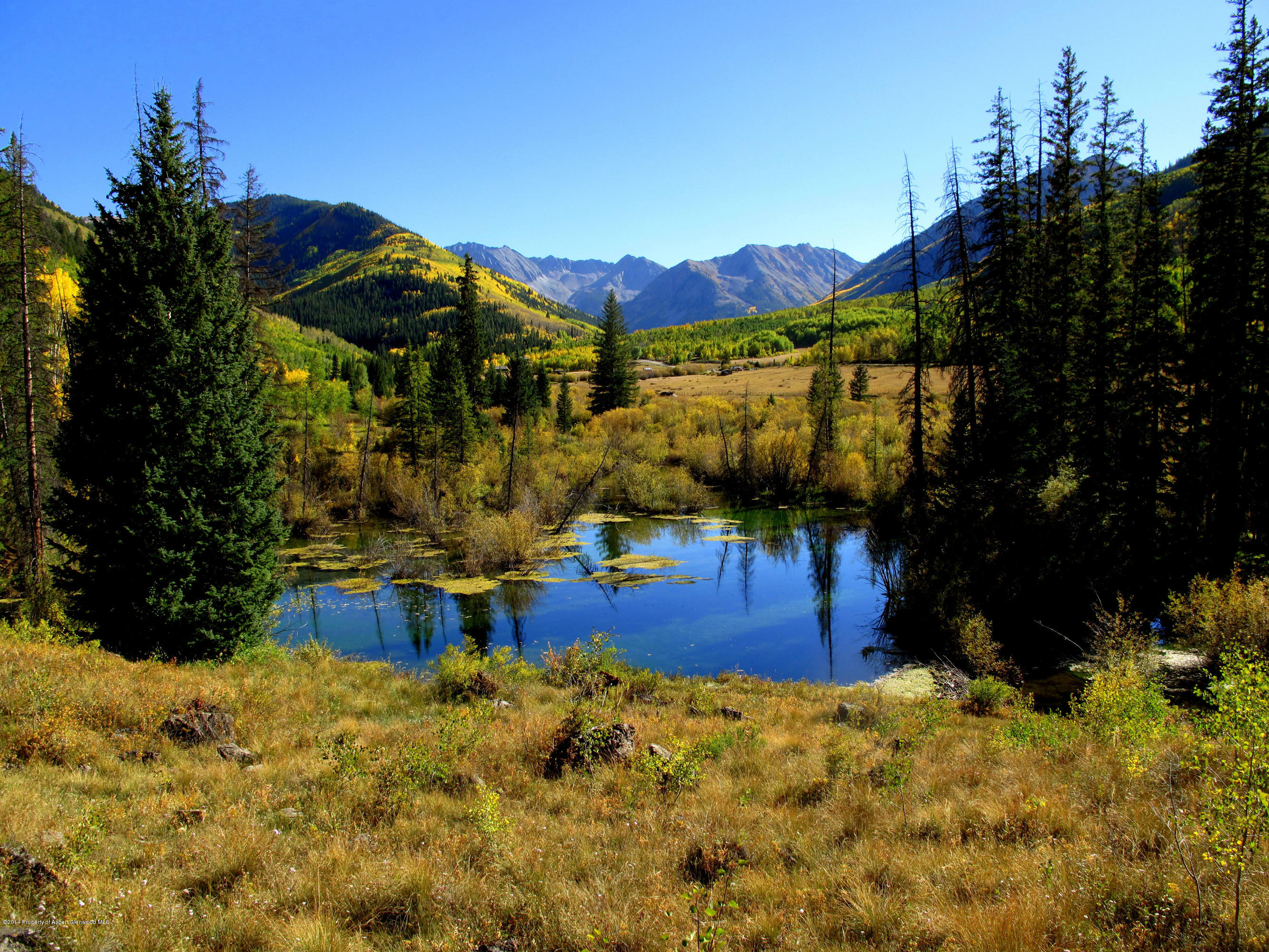 250 Express Creek Road Aspen, CO 81612 - Photo 23 of 40 Beaver Pond in Fall