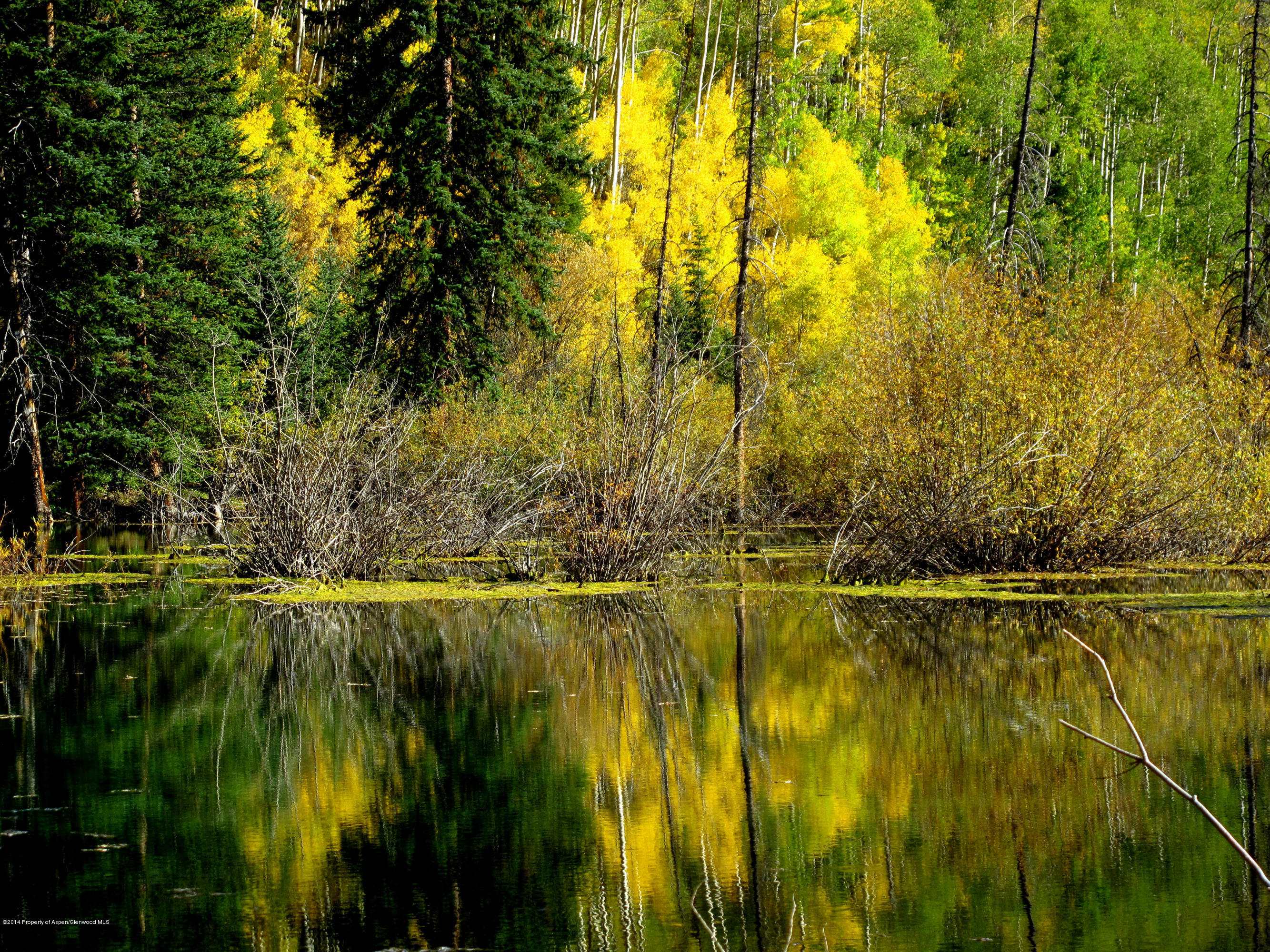 250 Express Creek Road Aspen, CO 81612 - Photo 33 of 40 Beaver Pond in Fall