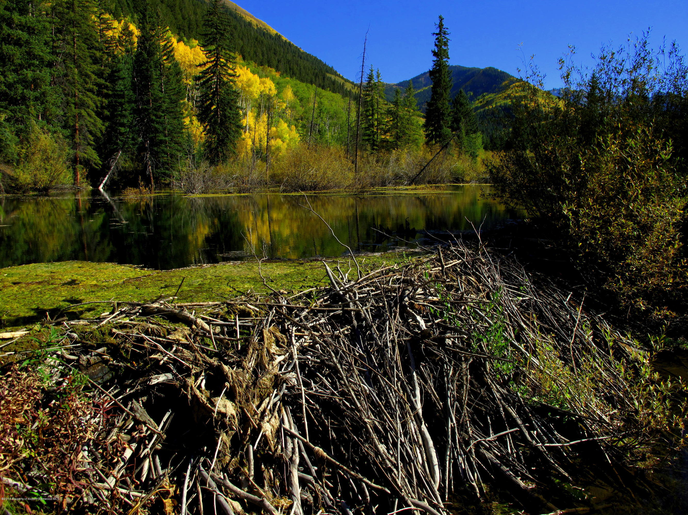 250 Express Creek Road Aspen, CO 81612 - Photo 34 of 40 Beaver Dam