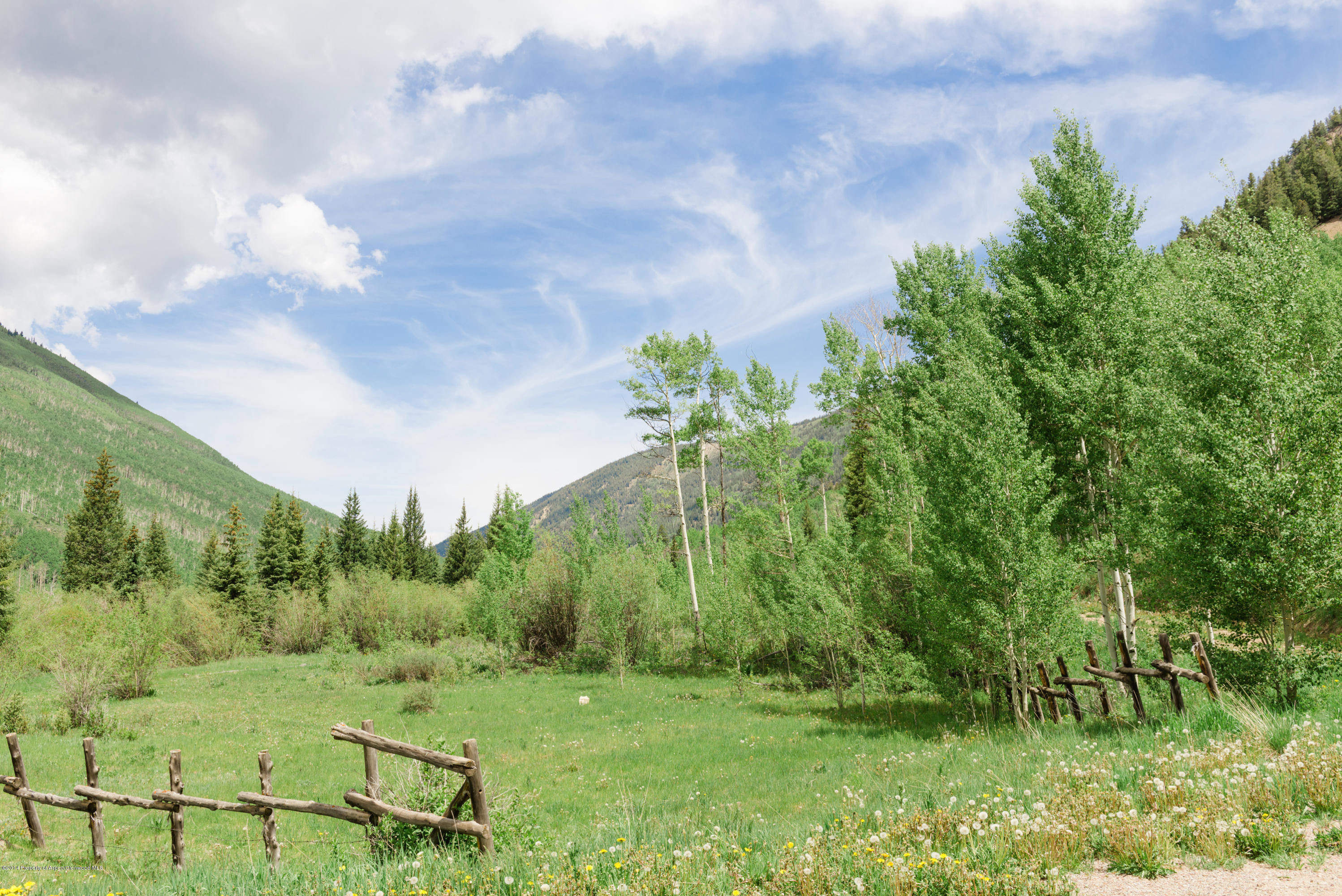 250 Express Creek Road Aspen, CO 81612 - Photo 9 of 40 Meadow