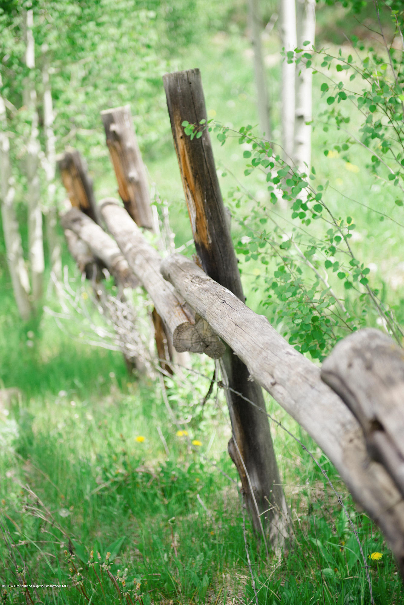 250 Express Creek Road Aspen, CO 81612 - Photo 10 of 40 Historic Fence
