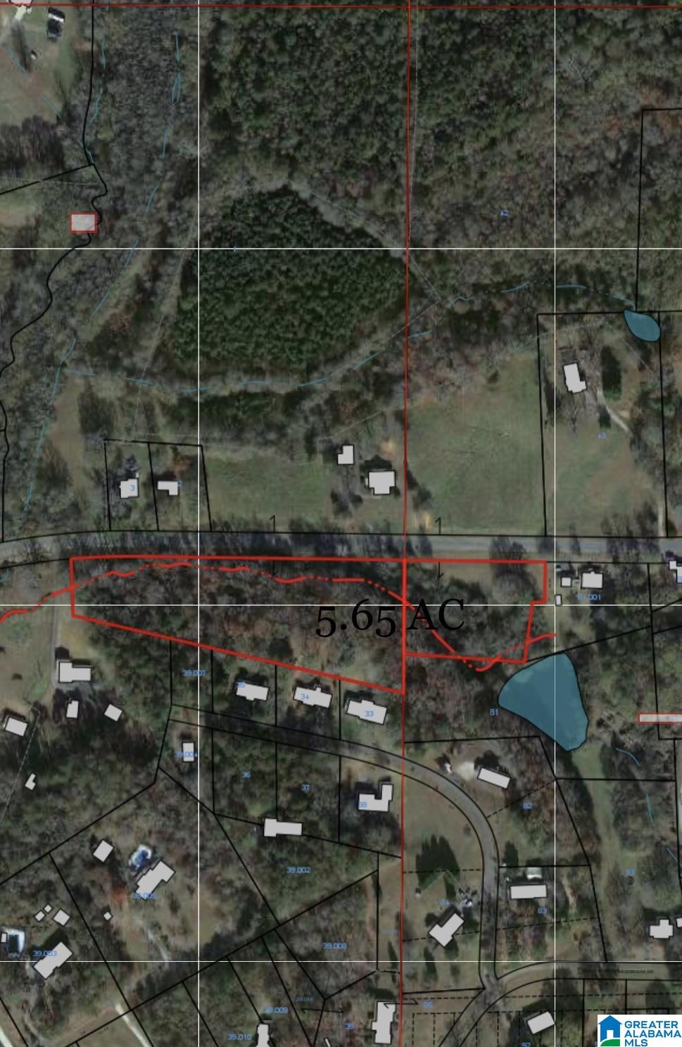 Talladega Street Lineville, AL 36266 - Photo 2 of 3