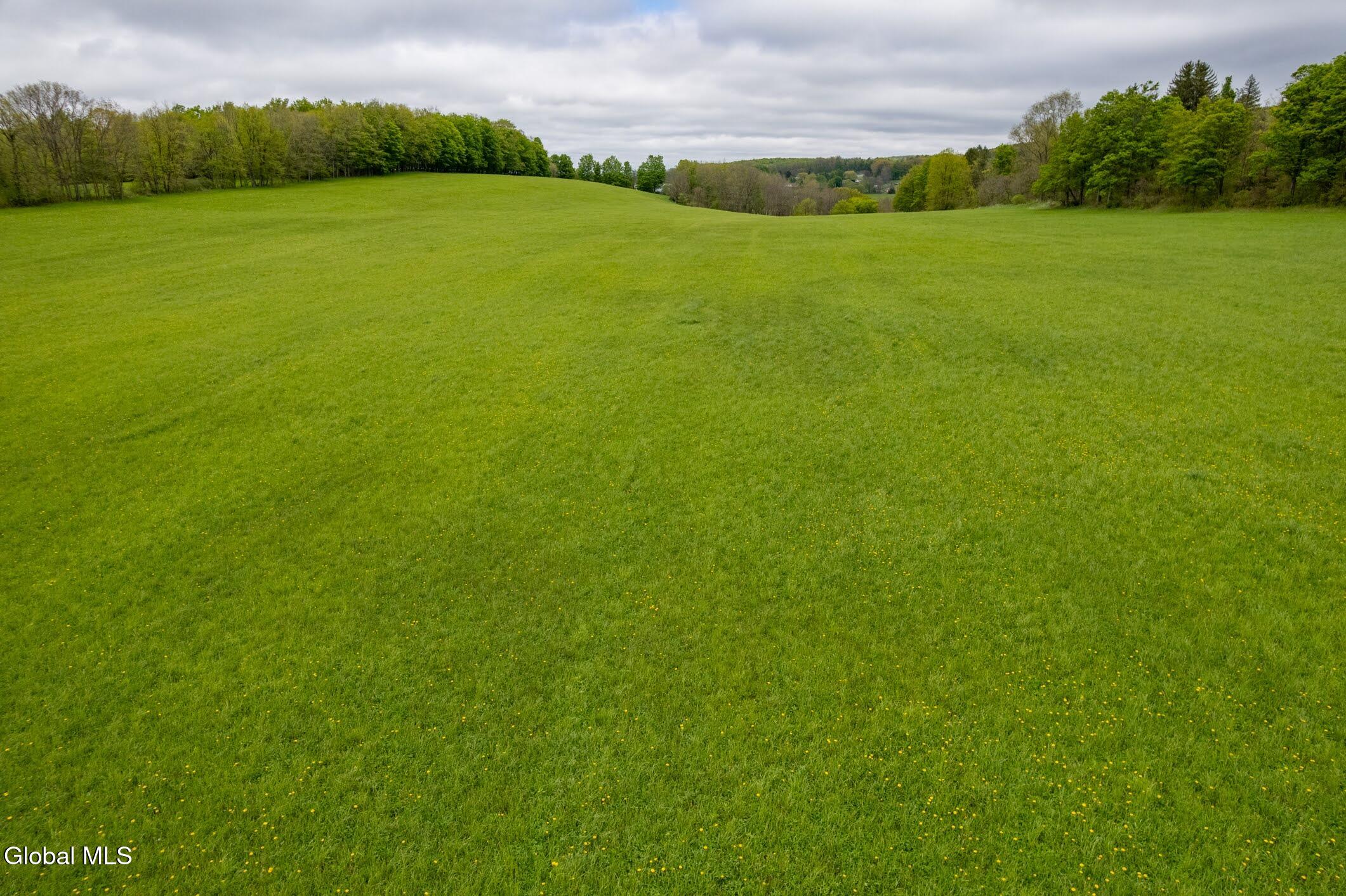 229 Scofield Road Sharon Springs, NY 13459 - Photo 1 of 17 20-229 Scofield