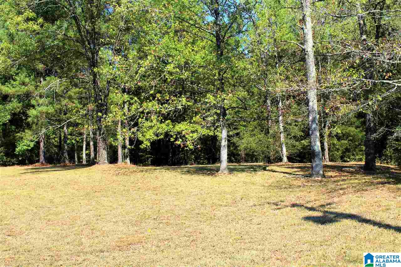 2155 Harts Ferry Road, Unit 1 72 Ohatchee, AL 36271 - Photo 1 of 6