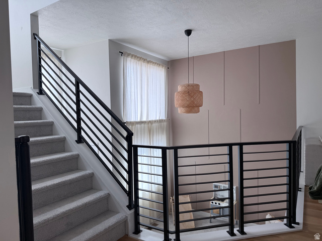 774 West 480 South American Fork, UT 84003 - Photo 39 of 76 Contemporary horizontal black metal railing system on a carpeted staircase