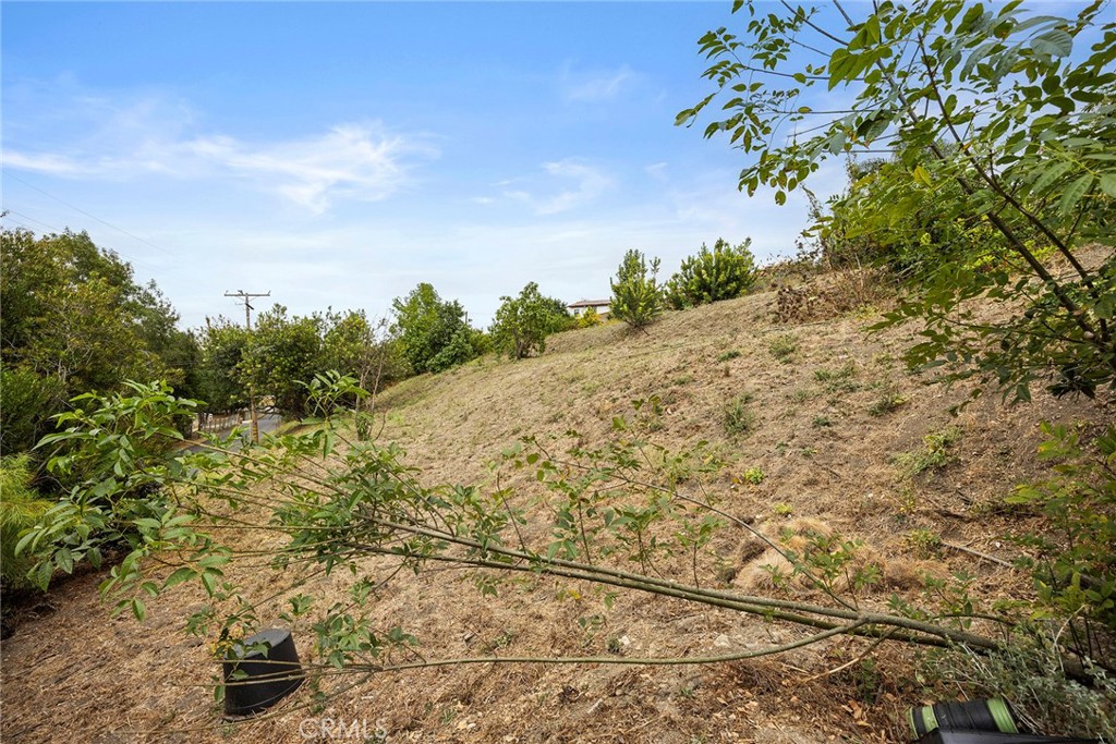 1911 Tumin Road La Habra Heights, CA 90631 - Photo 16 of 57