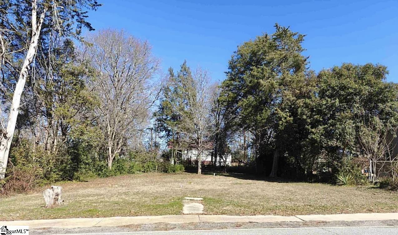 243 Poole Street Woodruff, SC 29388 - Photo 1 of 1 Gallery Image 1